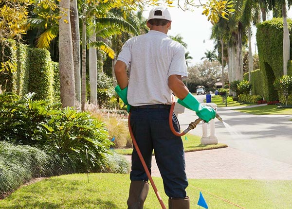 About Alabaster AL Pest Control Pros